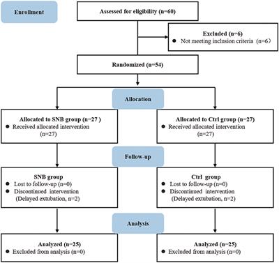 Effect of scalp nerve block with ropivacaine on postoperative pain in pediatric patients undergoing craniotomy: A randomized controlled trial